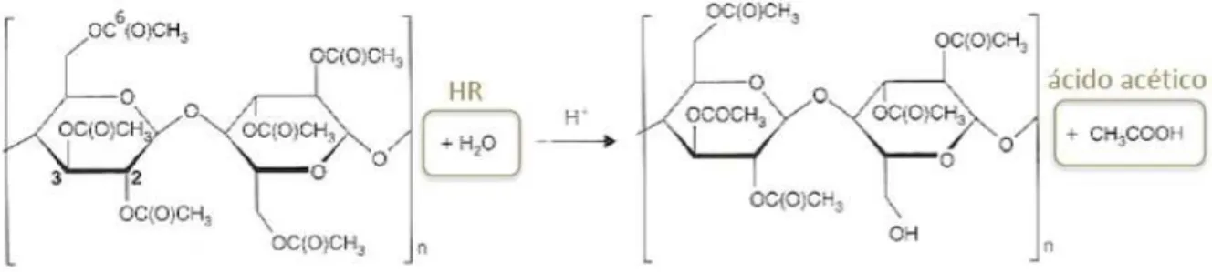 Fig. 17 27  - Reacção de degradação da cadeia de acetato de celulose   