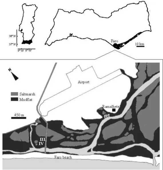Figure 1. Anibal et al 