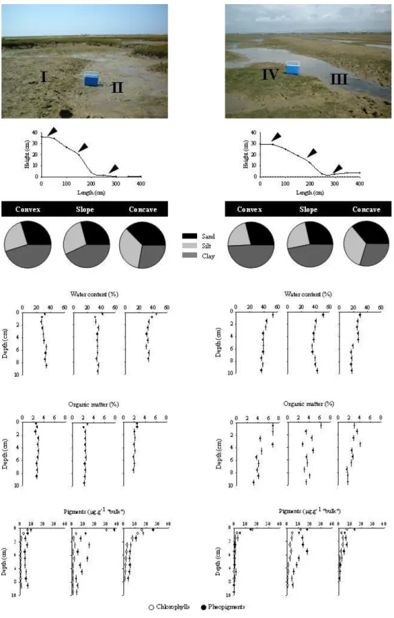 Figure 2. Anibal et al 