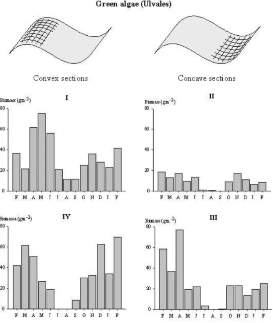 Figure 3. Anibal et al 