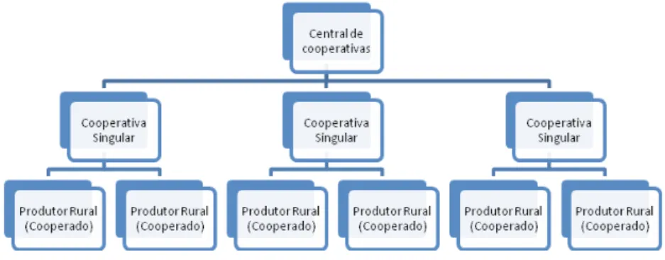 Figura 1 – Estrutura da Cooperativa em Análise 