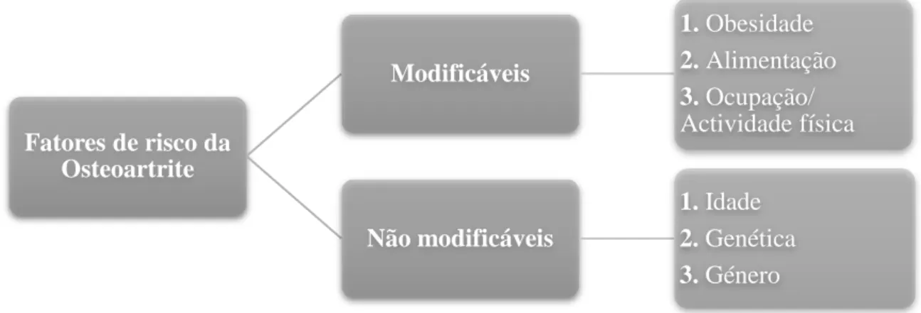 Figura 2. Esquema dos fatores de risco da osteoartrite. 