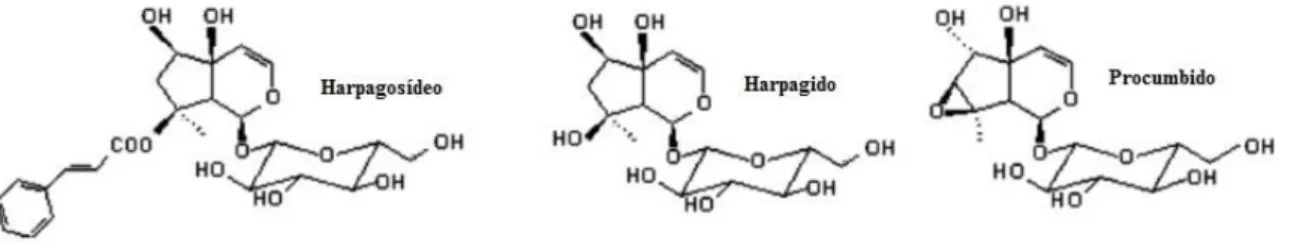 Figura 7. Estrutura química do harpagosídeo, harpagido e procumbido (disponível na  internet)