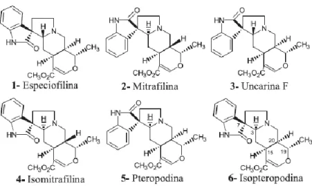 Figura 13. Estrutura química dos alcalóides oxindólicos pentacíclicos (Valente et al.,  2006)