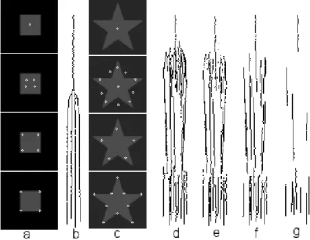 Fig. 2. Keypoint scale space, with finest scale at the bottom. From left to right: (a) square; (b) projected 3D keypoint trajectories of square; (c) and (d) star and projected trajectories; (e) micro-scale stability; (f) and (g) stability over at least 10 