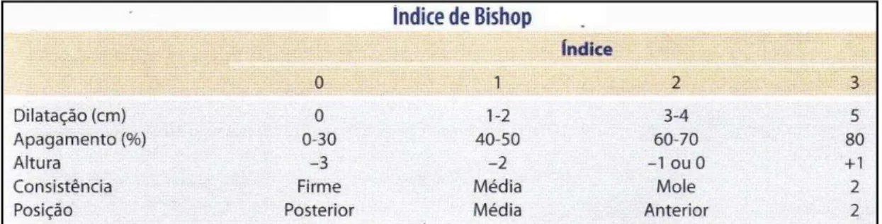 FIGURA 2: Índice de Bishop. 