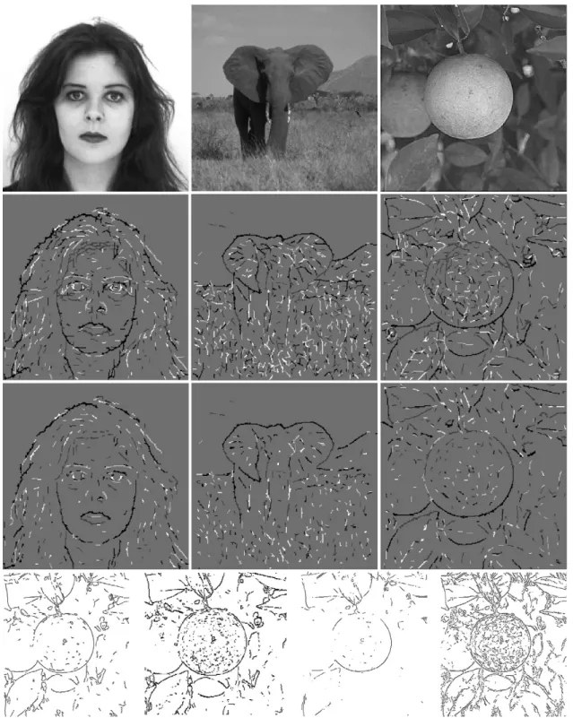 Fig. 3. Line and edge detection at the ﬁnest scale. The second row shows positive and negative lines and edges, coded by gray level, without applying NCRF inhibition