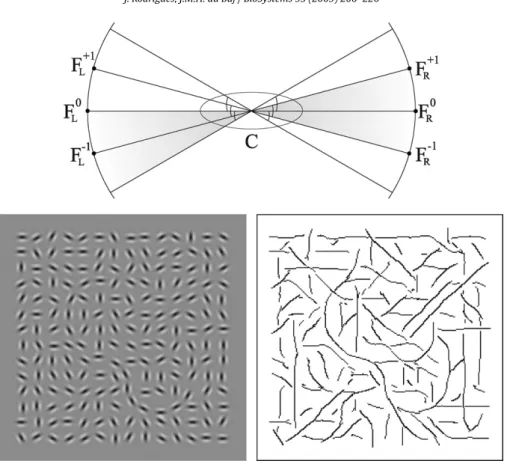 Fig. 4. Top: continuity processing with center- and fan-summation areas, C and F, in case of horizontal events with curvature (see text)