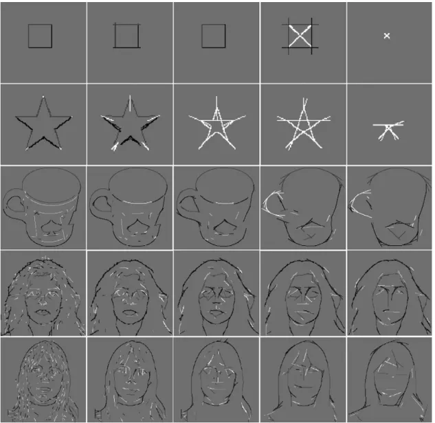 Fig. 6. Top two rows: multi-scale line/edge representations of a square and a star at, from left to right,  = {4,12,18,24,40}