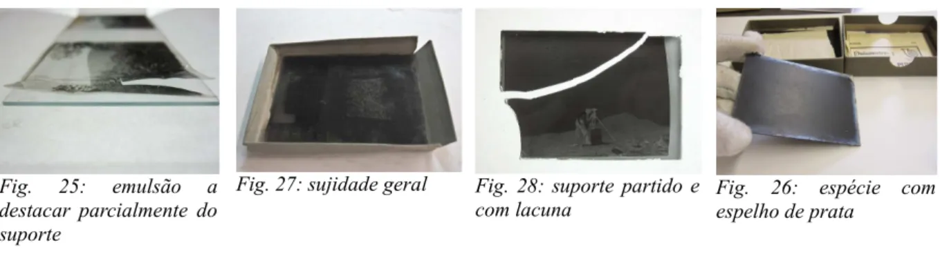Fig.  26:  espécie   com  espelho de prata