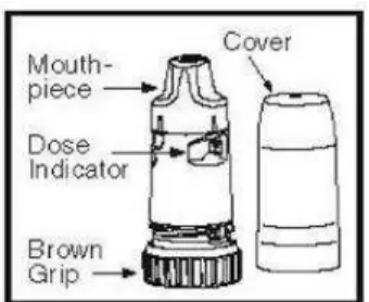 Fig. 2  –  Turbohailer  