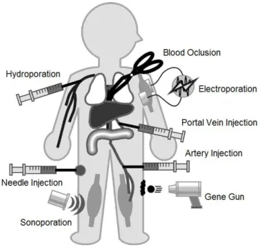 Figure 1.8: Overview of physical methods for gene delivery. Adapted from (Niidome et  al., 2002)