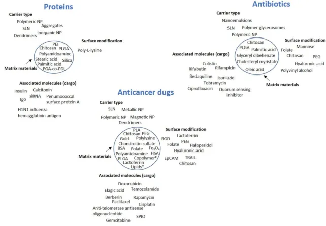 Figure  2  –  General  overview  of  the  types  of  nanocarriers  used  in  the  delivery  of  proteins, 