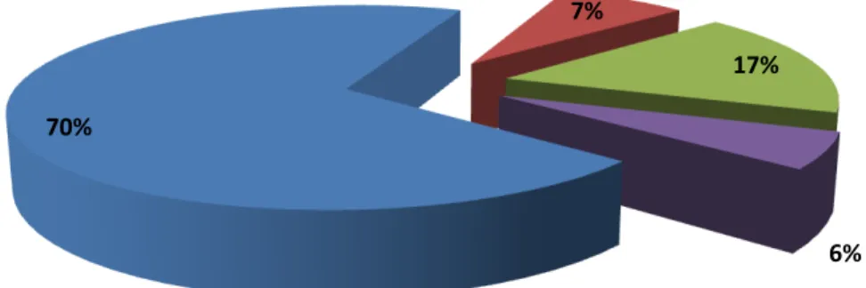 Gráfico n.º 16. Gráfico representativo do conhecimento dos enfermeiros acerca da  causa de não-aceitação de alimentos preparados pelo hospital 