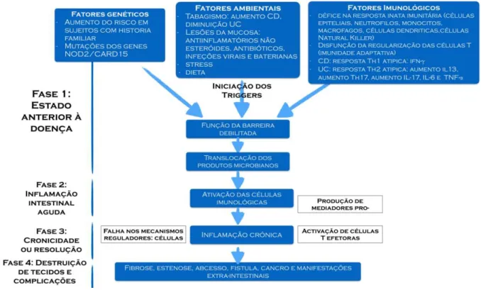 Figura 1 - Patogénese multifatorial da DII 