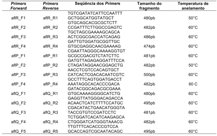 Tabela 2: Combinações entre primers dos genes  aflR, aflP e aflQ de A. flavus, com sequências dos primers  Forward  e  Reverse,  respectivamente,  tamanhos  dos  amplicons  esperados  e  temperatura  de  anelamento  utilizada (adaptada de Midorikawa, 2009)