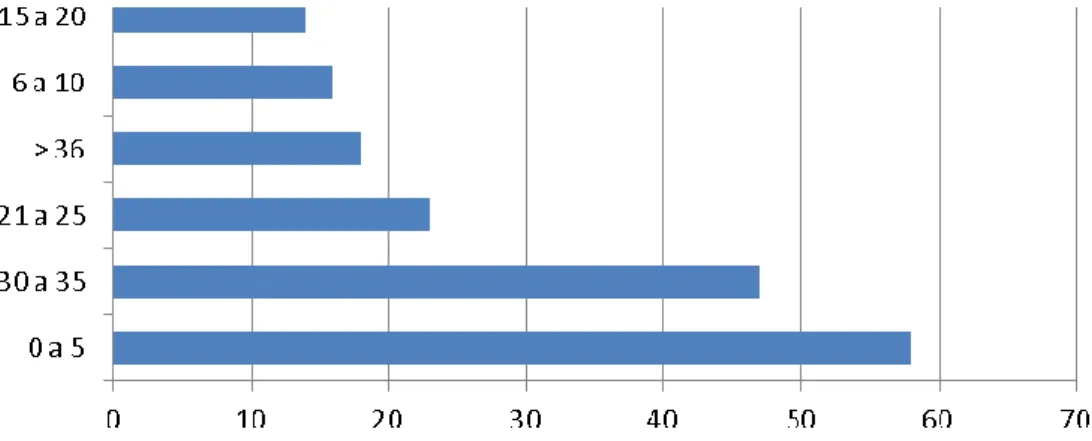 Gráfico 6: Distribuição dos Recursos Humanos do Grupo Multinacional por Senioridade 