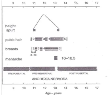 Figura 1 - A sequência normal da puberdade em raparigas