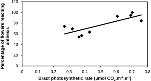 Fig. 4 – WATER control. Relationship between percentage of flowers reaching anthesis and CD  bract net photosynthetic rate (each dot is a plant average)
