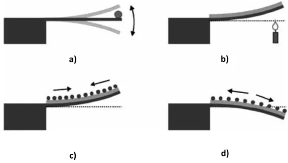 Figura 4.1- Representação de diferentes configurações mecânicas dos cantilevers. O esquema a)  representa um sistema de modo dinâmico por variação da frequência de ressonância enquanto os  restantes  são  sistemas  estáticos;  em  b)  ocorre  uma  defleção