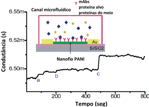 Figura 5.1- Gráfico da variação da condutância em função do tempo e esquema do nanossensor  de  nanofios PANI