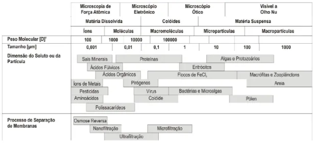 Figura 4. Dimensões dos principais componentes microscópicos e moleculares presentes em águas  naturais e tipos de membranas utilizáveis para a sua separação (adaptado de Amorim, 2007)