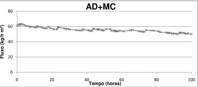 Figura 17. Fluxo permeado no ensaio de água decantada com MC-LR, nas 100h de operação (NF 99; 10  bar; 21ºC) 