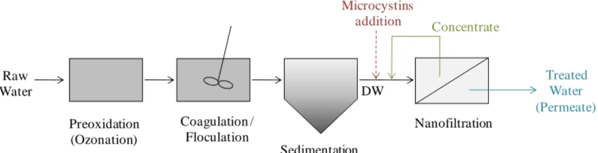 Figure 1. Experimental water treatment sequence in Alcantarilha WTP (DW - Decanted Water)