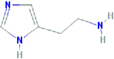 Figura 9 - Estrutura química da histamina (PubChem, s.d.).