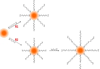 Figure 1.6 – Two main routes to attach bio-functional ligands to AuNPs surfaces.  R1: ligands with the desired Z  functionality  react  directly  with  the  nanoparticles;  R2:  a  ligand  with  a  Y  functionality  reacts  directly  with  the  nanoparticl