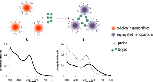 Figure 1.8 – Schematic example of biorecognition-induced aggregation of AuNPs. (A) Colloidal solution of probe- probe-functionalized  AuNPs  and its  typical  optical  absorption  spectrum