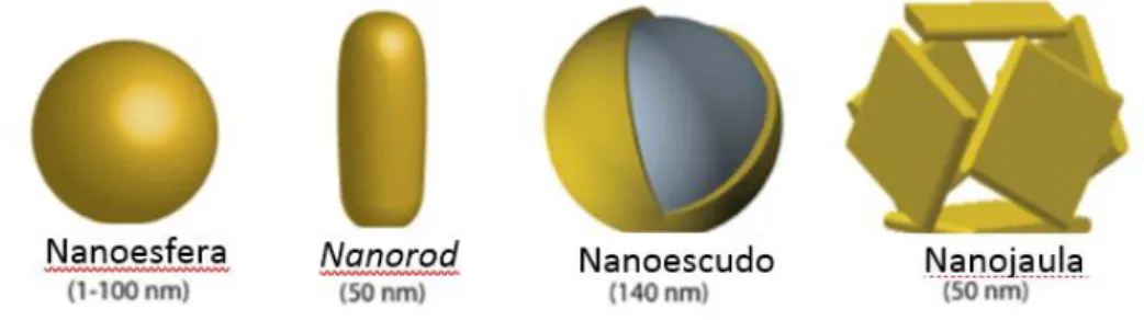 Figura 5.2. Várias formas das nanopartículas [Adaptado de (49)] 