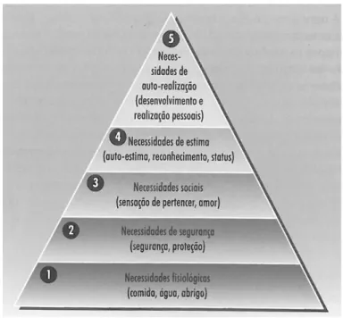 Figura 3 – Hierarquia das necessidades de Maslow 