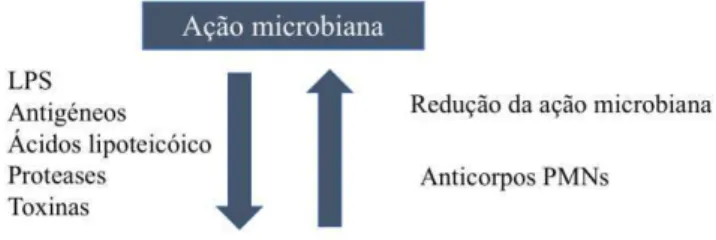 Figura 3 - Patogenia da periodontite, adaptado de Yucel-Lindberg &amp; Båge (2013). 