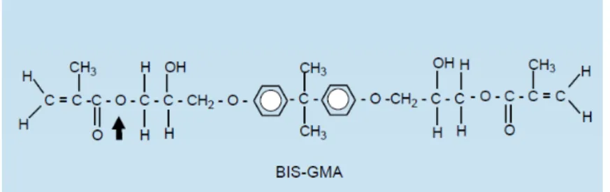 Figura 1. Fórmula molecular do Bis-GMA – (Adaptado de Soderholm e Mariotti, 1999) 