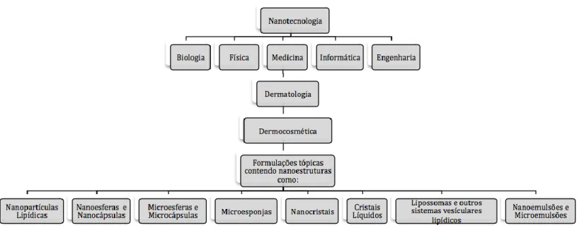 Fig. 2.1. Nanotecnologia na dermocosmética [Adaptado de 1] 