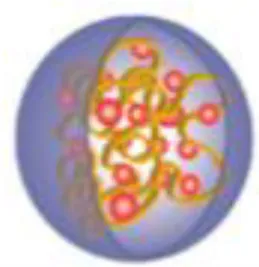 Fig. 2.2. Imagem representativa da morfologia dos nanotransportadores tipo matriz [Adaptado  de 8] 