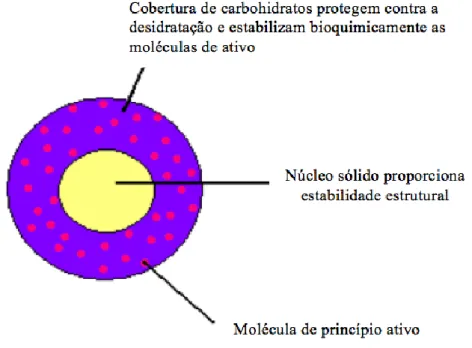 Fig. 2.6. Imagem representativa da estrutura trilamelar do aquassoma [22] 