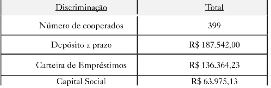 Tabela 1: Principais dados financeiros da Ecosol Araponga – Julho/2010