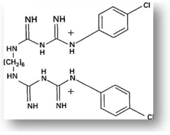 Figura 2 - Estrutura química da CHX  (Carrilho et al., 2010) 