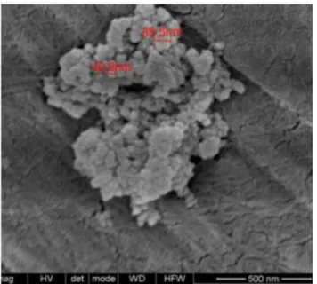 Figura 2.7 - Imagens SEM das nano-partículas de silica 