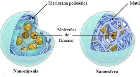 Figura  4.4  –  Representação  esquemática  da  estrutura  de  uma nanocápsula e de uma nanoesfera