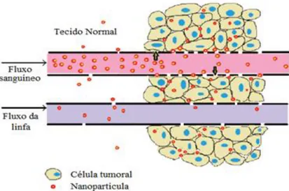 Figura  4.6  –  Representação  esquemática  do  efeito  EPR.  No  tecido  tumoral,  ocorrem  malformações  na  vascularização  e na  drenagem  linfática,  que permitem  o  extravasamento  dos  nanossistemas,  aumentando  a  sua  permeabilidade  e  retenção