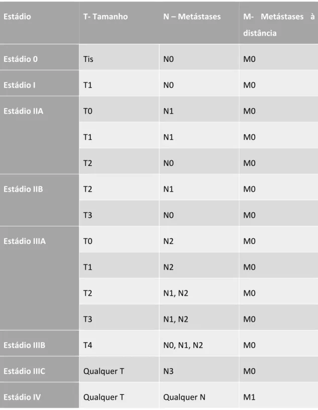 Tabela 2.3- Resumo dos estadios tumorais. 14