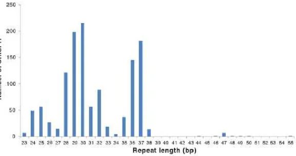 Figura  2  –  Gráfico  das  Distribuições  do  tamanho  das  sequências  de  repetições  do  sistema  CRISPR