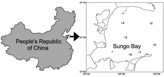 Fig. 1. Sampling sites in Sungo Bay.