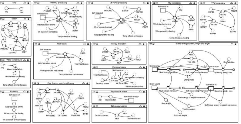 Fig. 2. Flow diagram of the growth model, illustrating main components using STELLAR Research software (High Performance Systems, Hanover, USA).