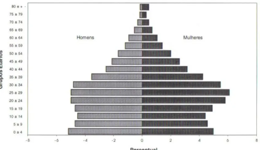 Figura 2.3- Pirâmide populacional do Distrito Federal – 2000 
