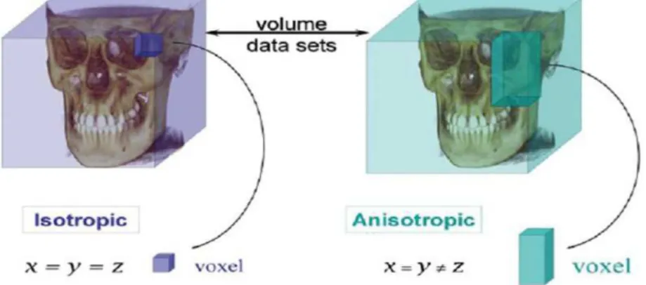 Figura  14- Voxéis isotrópicos vs anisotrópicos. 