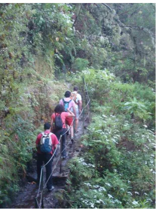 Figura 3 – Execução do PR9 (Levada do Caldeirão Verde). 